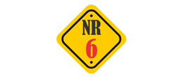 NR6
